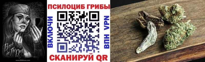 закладка  Луга  Псилоцибиновые грибы MAGIC MUSHROOMS 