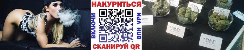 Шишки марихуана Amnesia  Луга 